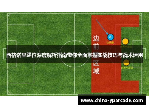 西格诺里踢位深度解析指南带你全面掌握实战技巧与战术运用