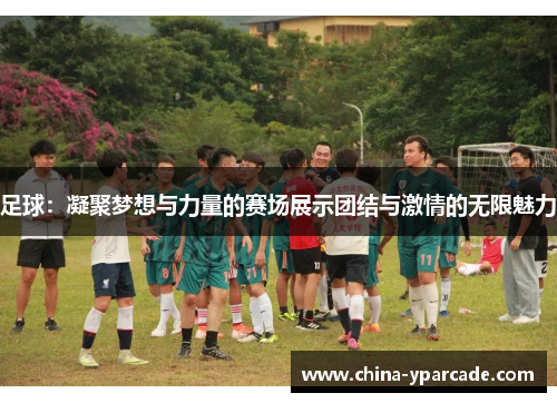 足球：凝聚梦想与力量的赛场展示团结与激情的无限魅力